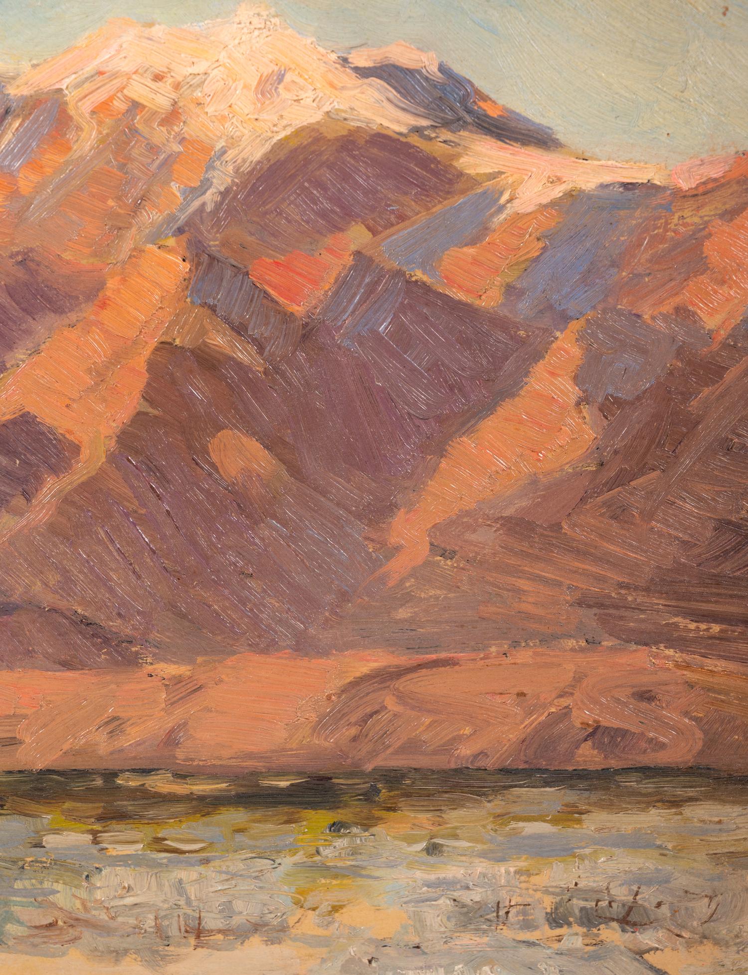 Evening in Desert