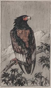 Otto Eduard Voigt, (German, 1870-1949), Hawk