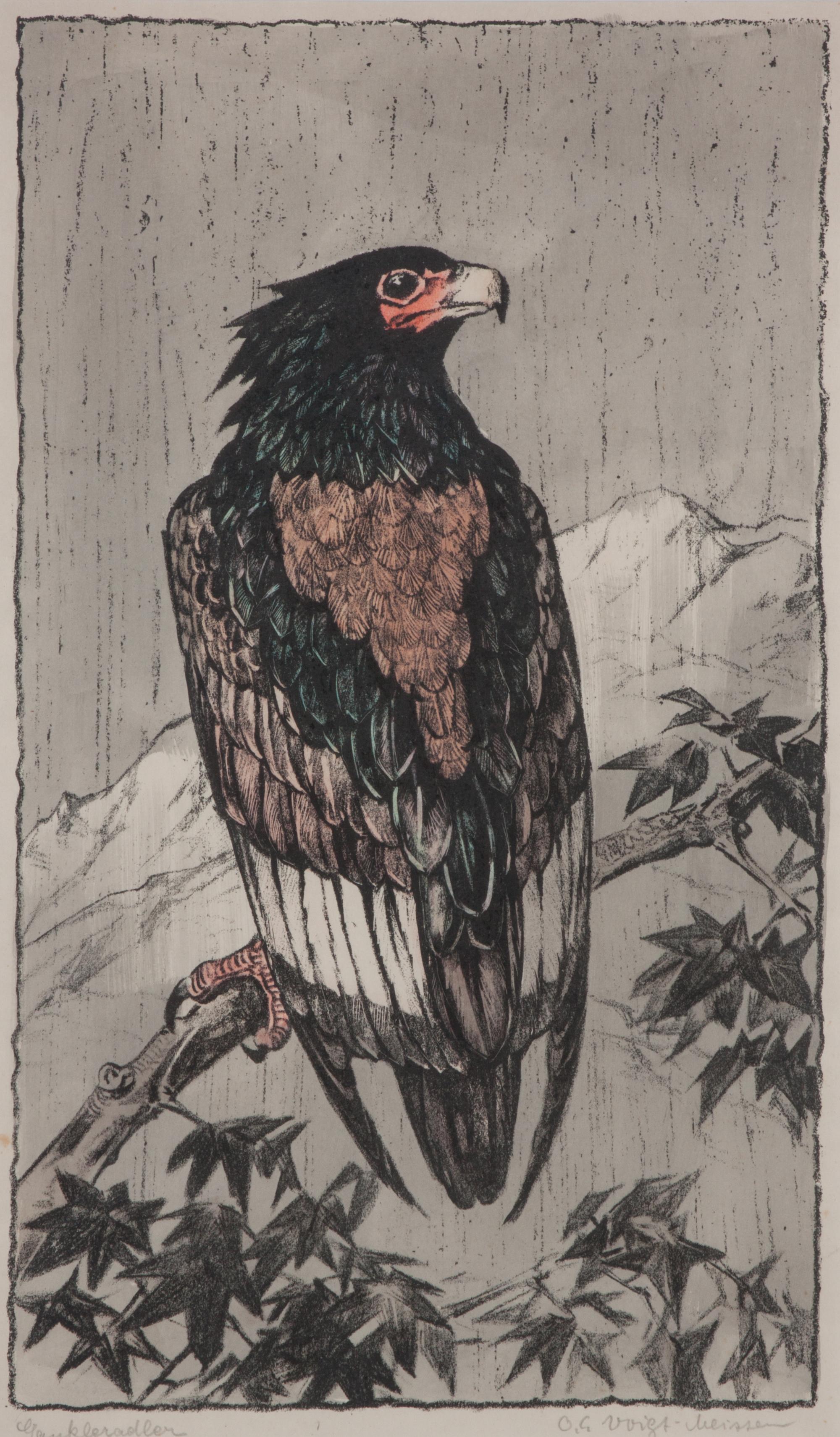 Otto Eduard Voigt, (German, 1870-1949), Hawk