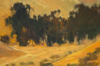 Island Canyon