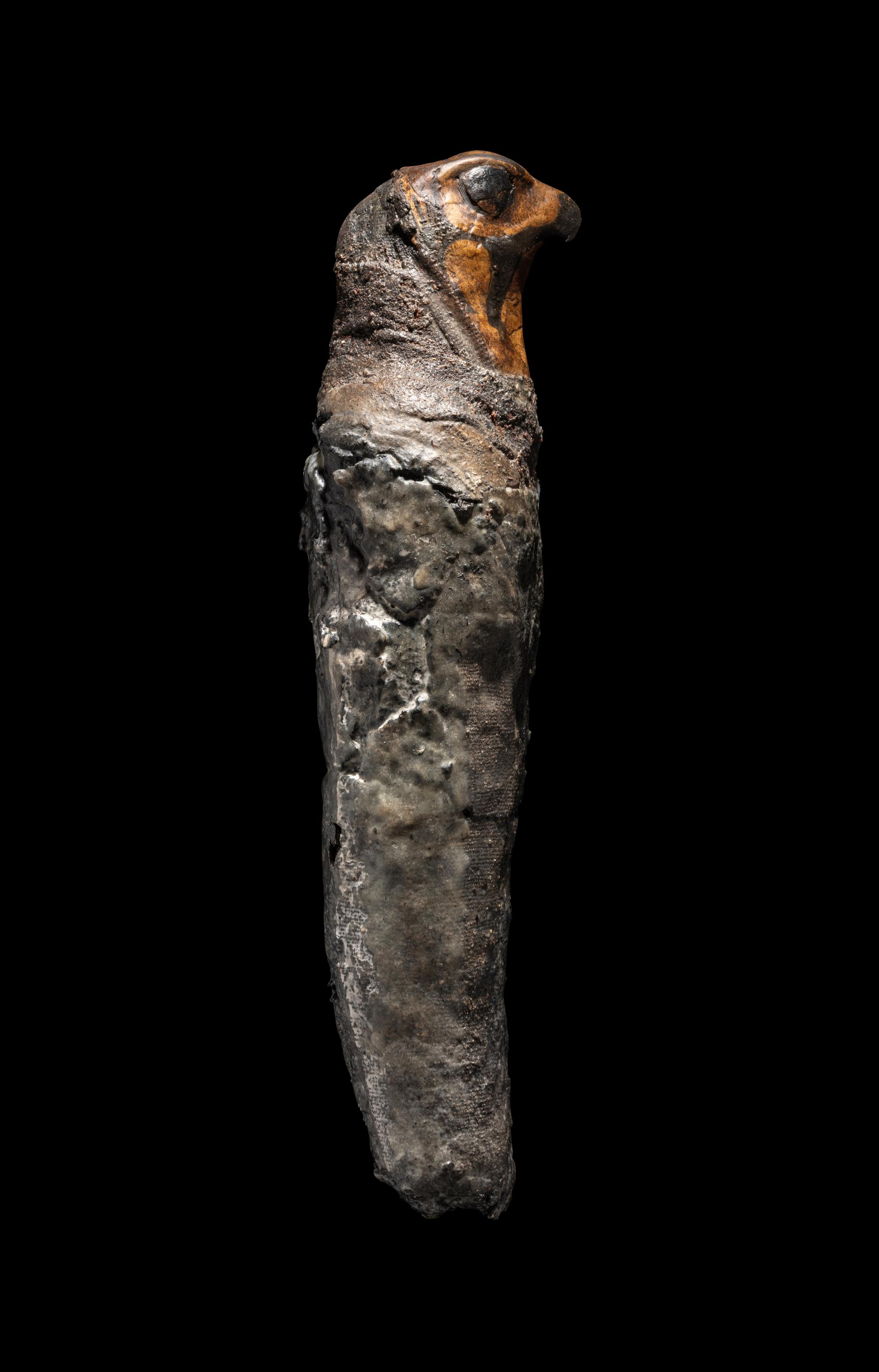 An Egyptian Falcon Mummy