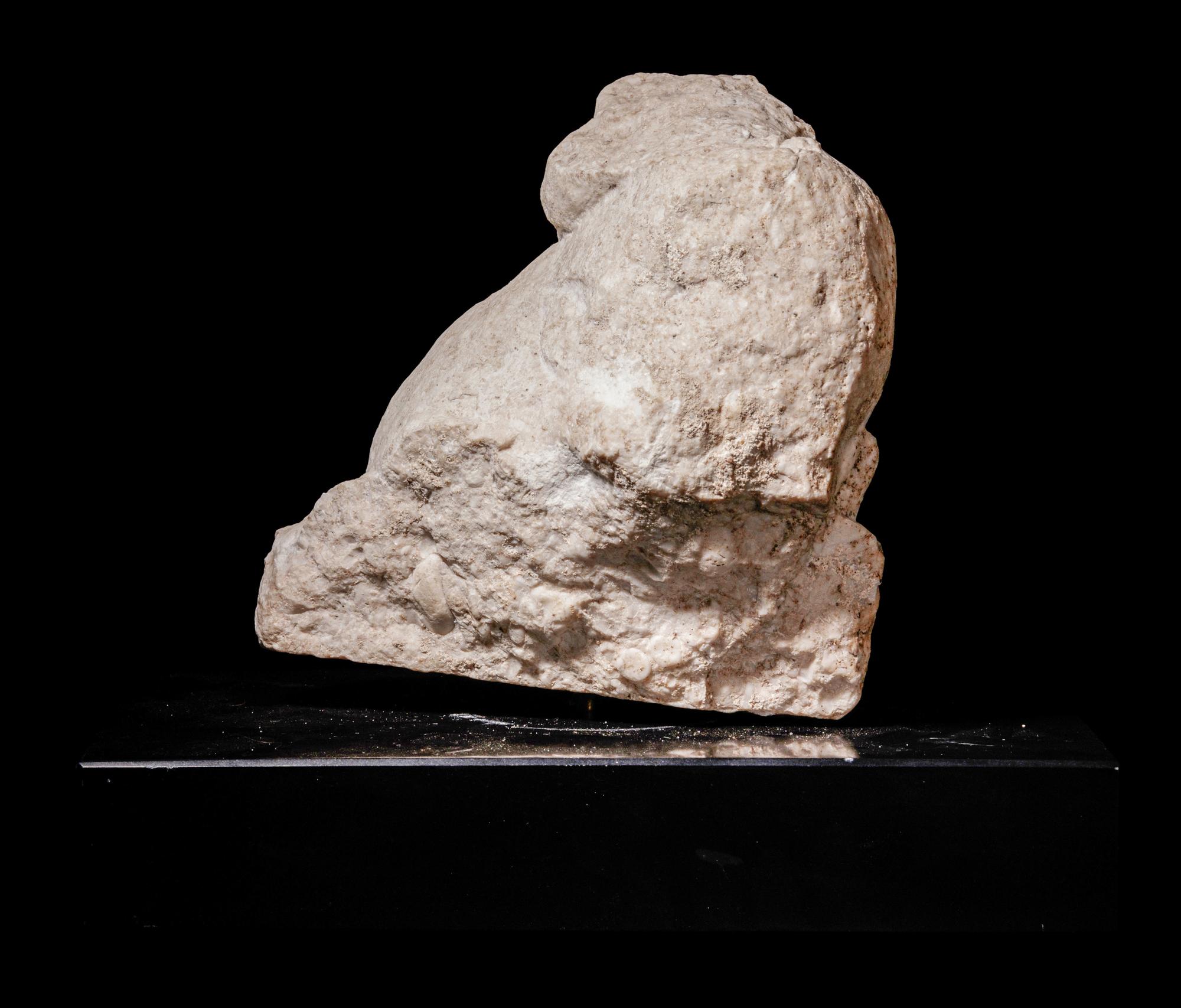 A Roman Marble Fragment with Head of Goat and Lion Paw