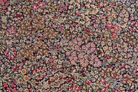 A Kirman Wool Rug