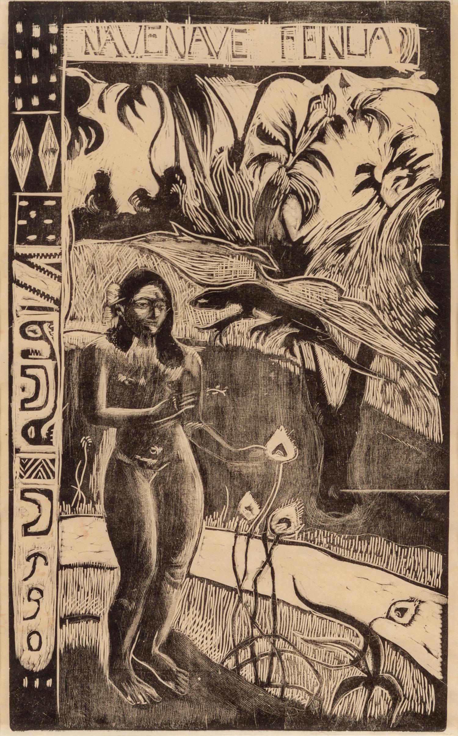 Nave Nave Fenua, 1893-1894