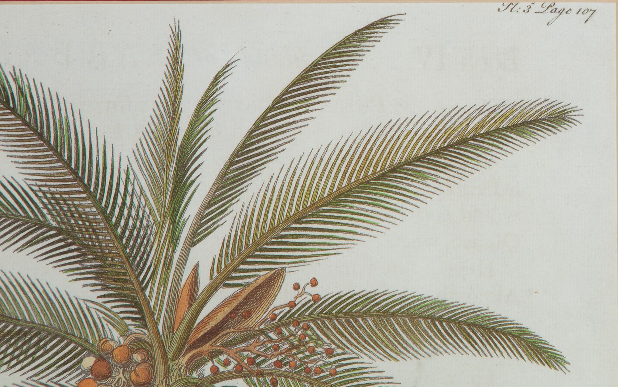 A Princess of Wales Royal Crest Palm Tree Print — 20TH CENTURY