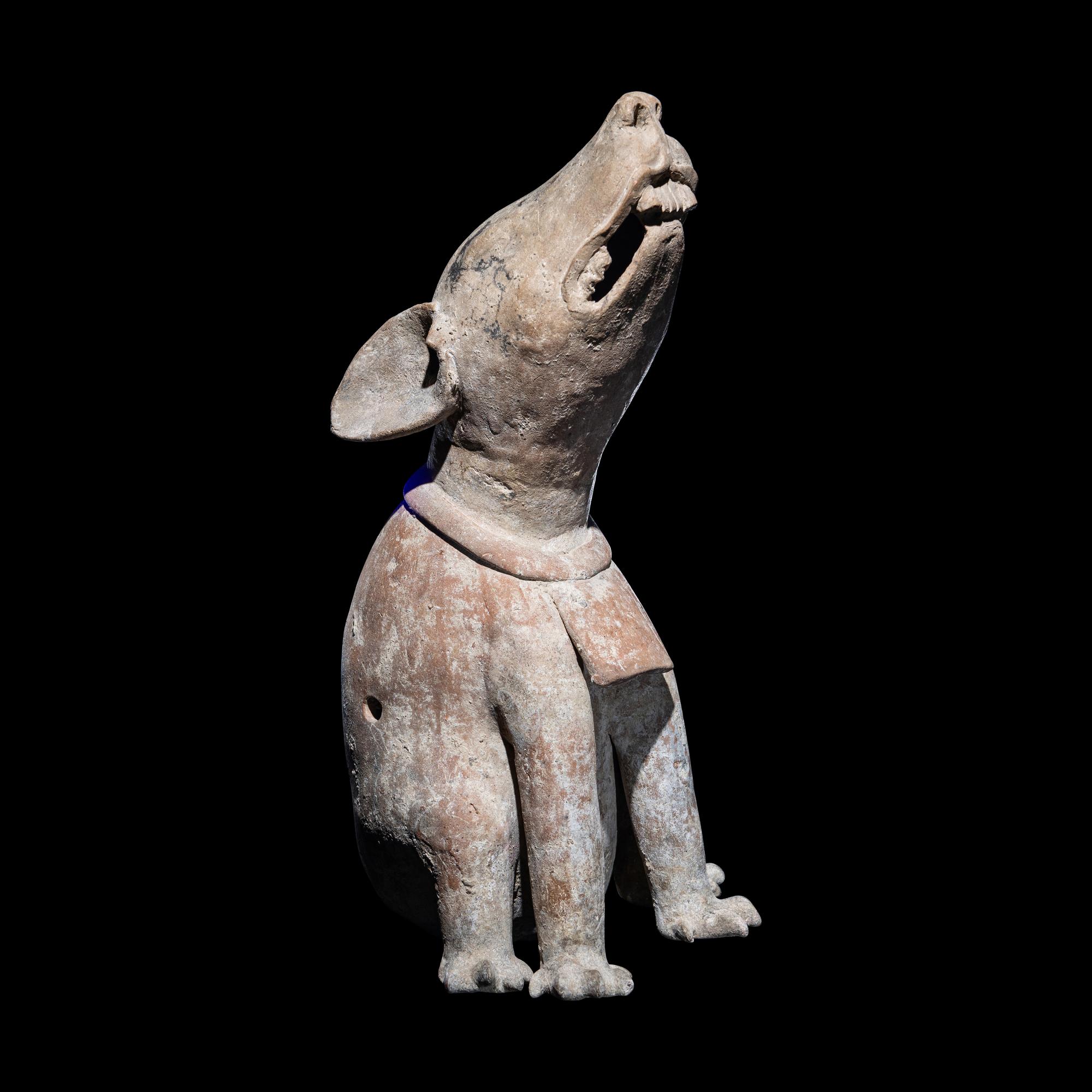 A Veracruz Terracotta Seated Paca