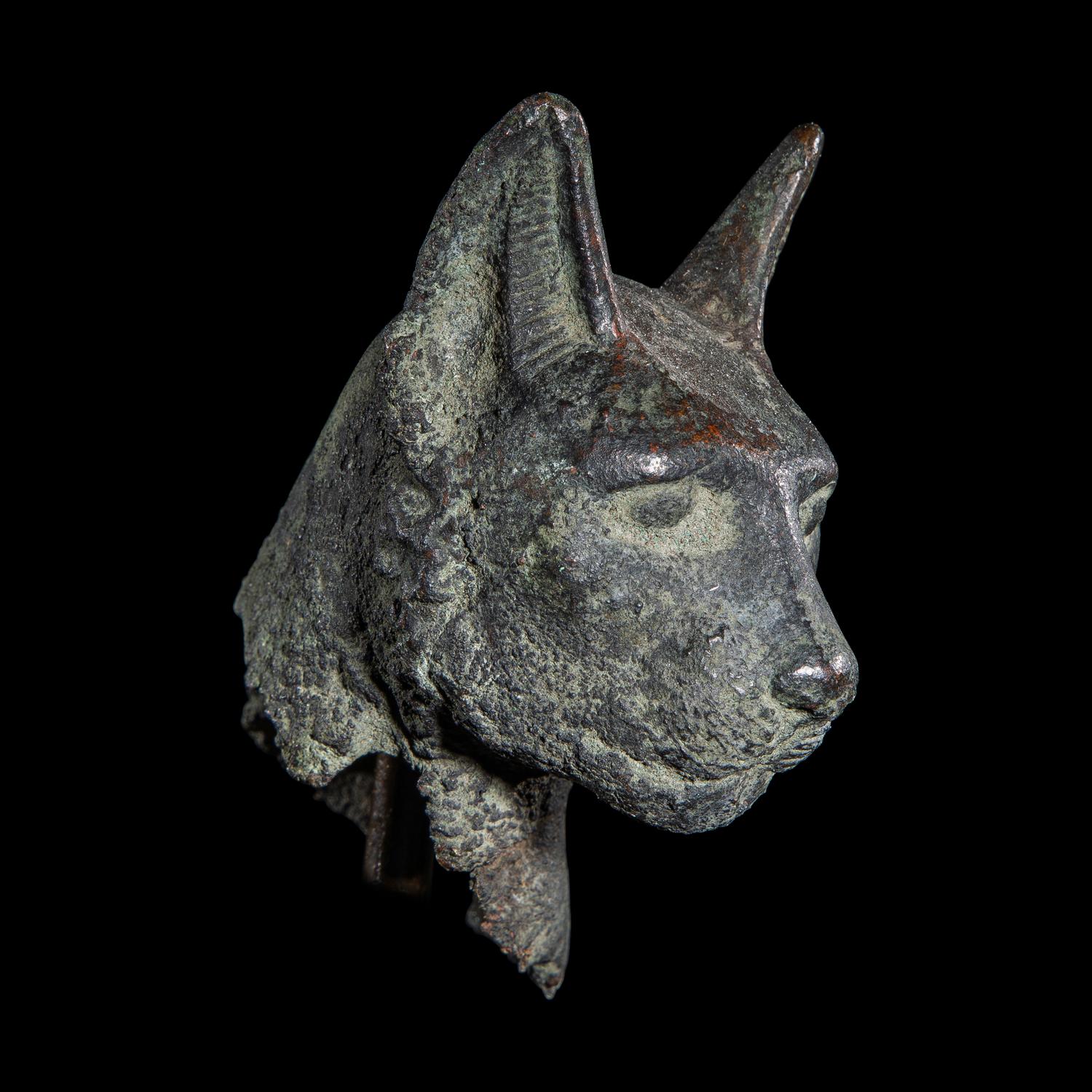 An Egyptian Bronze Head of a Cat