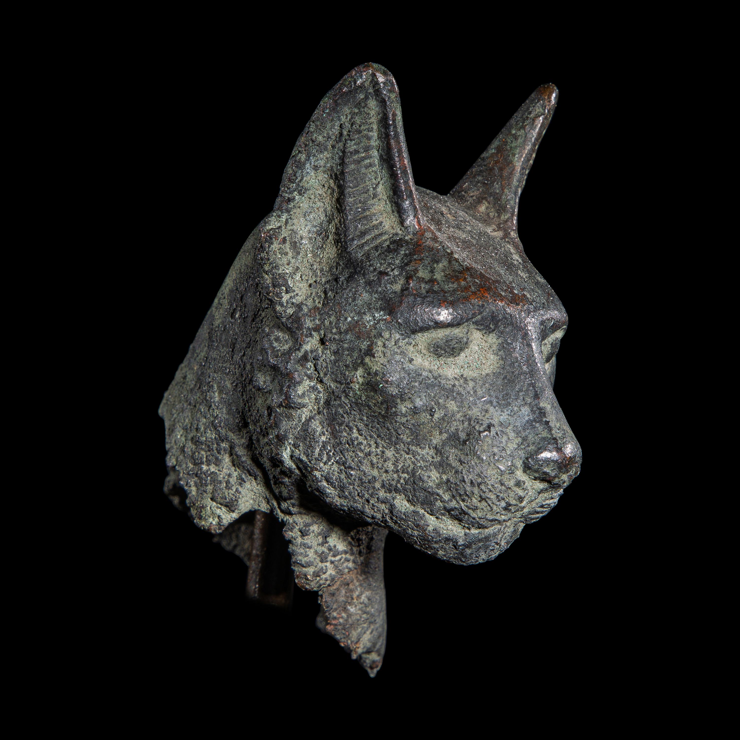 An Egyptian Bronze Head of a Cat