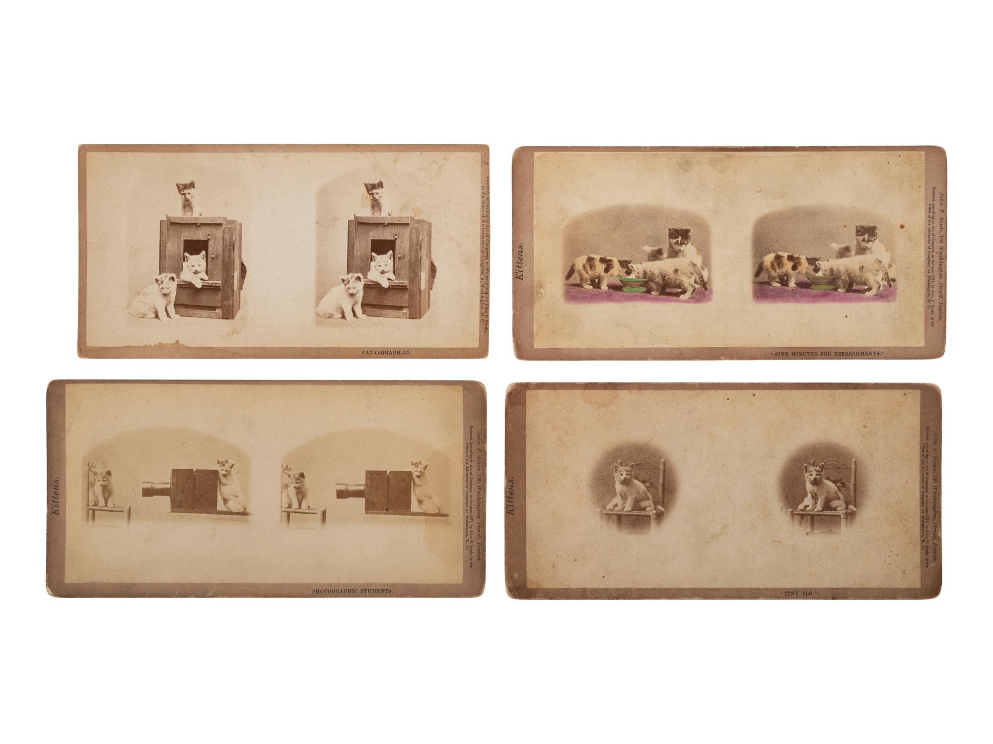 [EARLY PHOTOGRAPHY]. SOULE, John P. (1828-1904), photographer. 16 stereoviews of cats from the "Kittens" and "Kitty" series. Boston, MA: 1871.