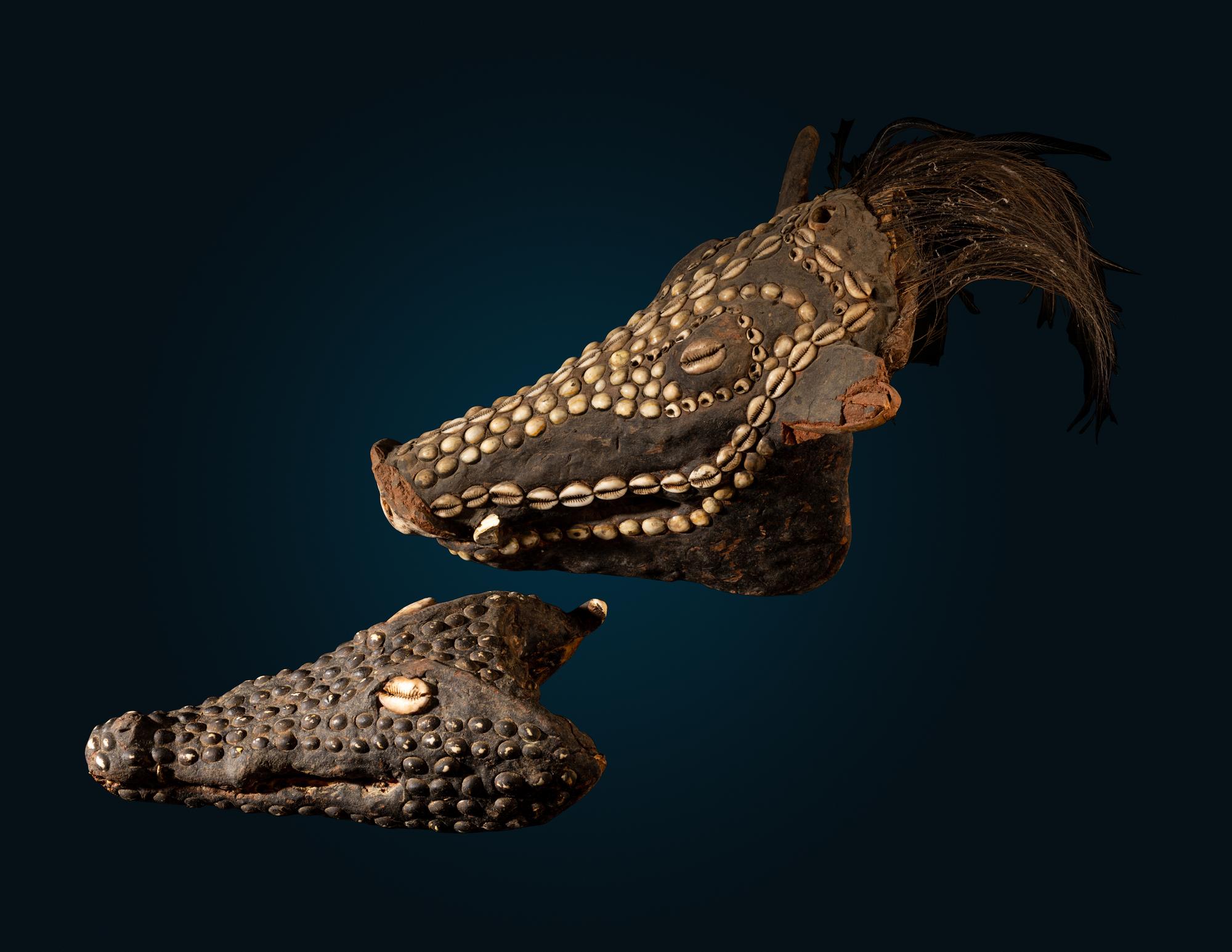 An Oceanic Decorated Crocodile Skull and Boar Skull
