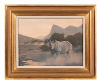 The Hoanib Rhino, Namibia