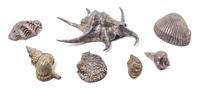 A Collection of Seven Buccellati Silvered Shells Length of largest 10 inches. — 20TH CENTURY