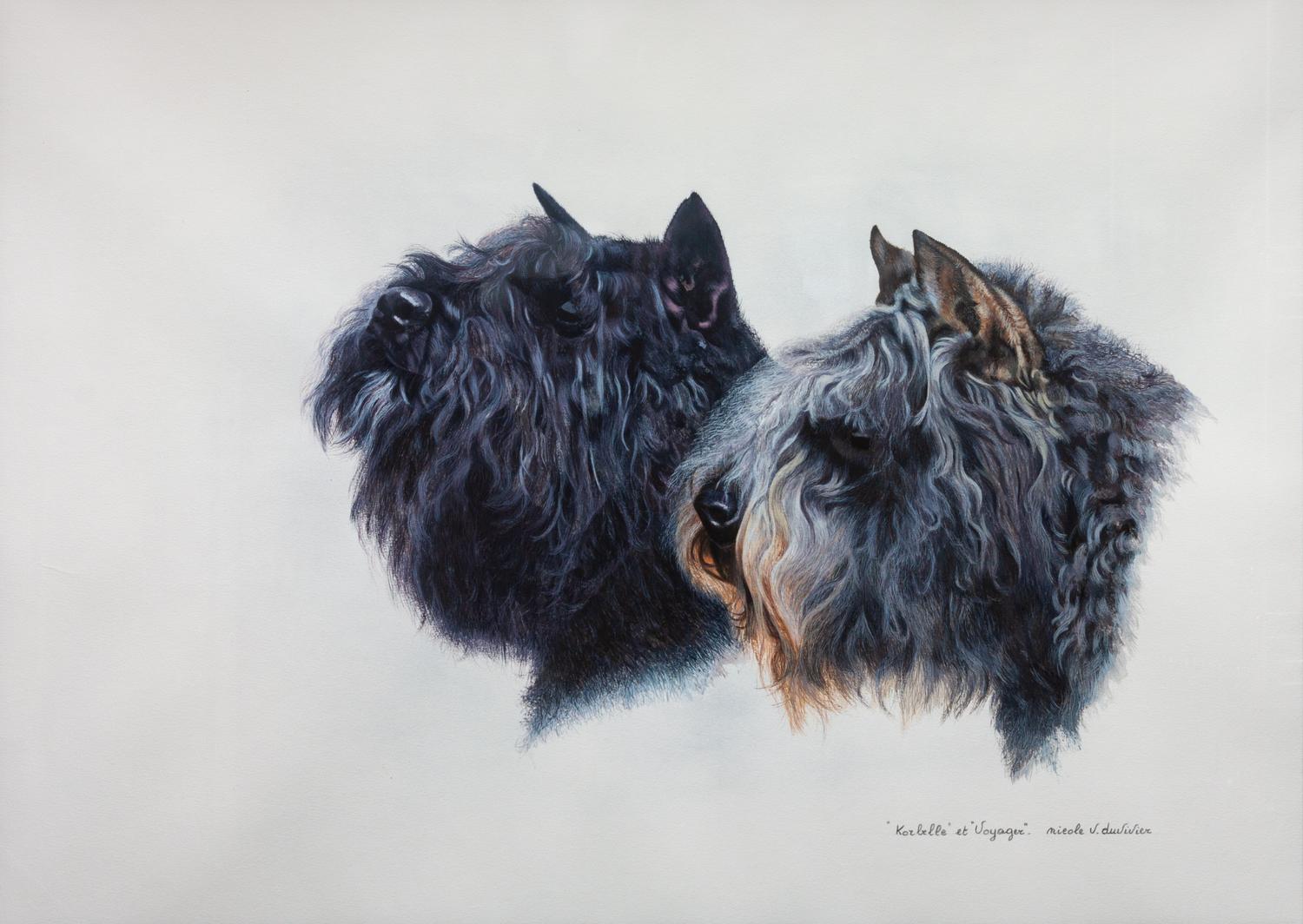 A Painting on Paper of Two Bouvier des Flanders 19 3/4 x 27 3/4 inches. — Nicole V. Duvivier (20th Century)