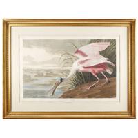 JOHN JAMES AUDUBON (AMERICAN 1785–1851) "ROSEATE SPOONBILL" FROM BIRDS OF AMERICA