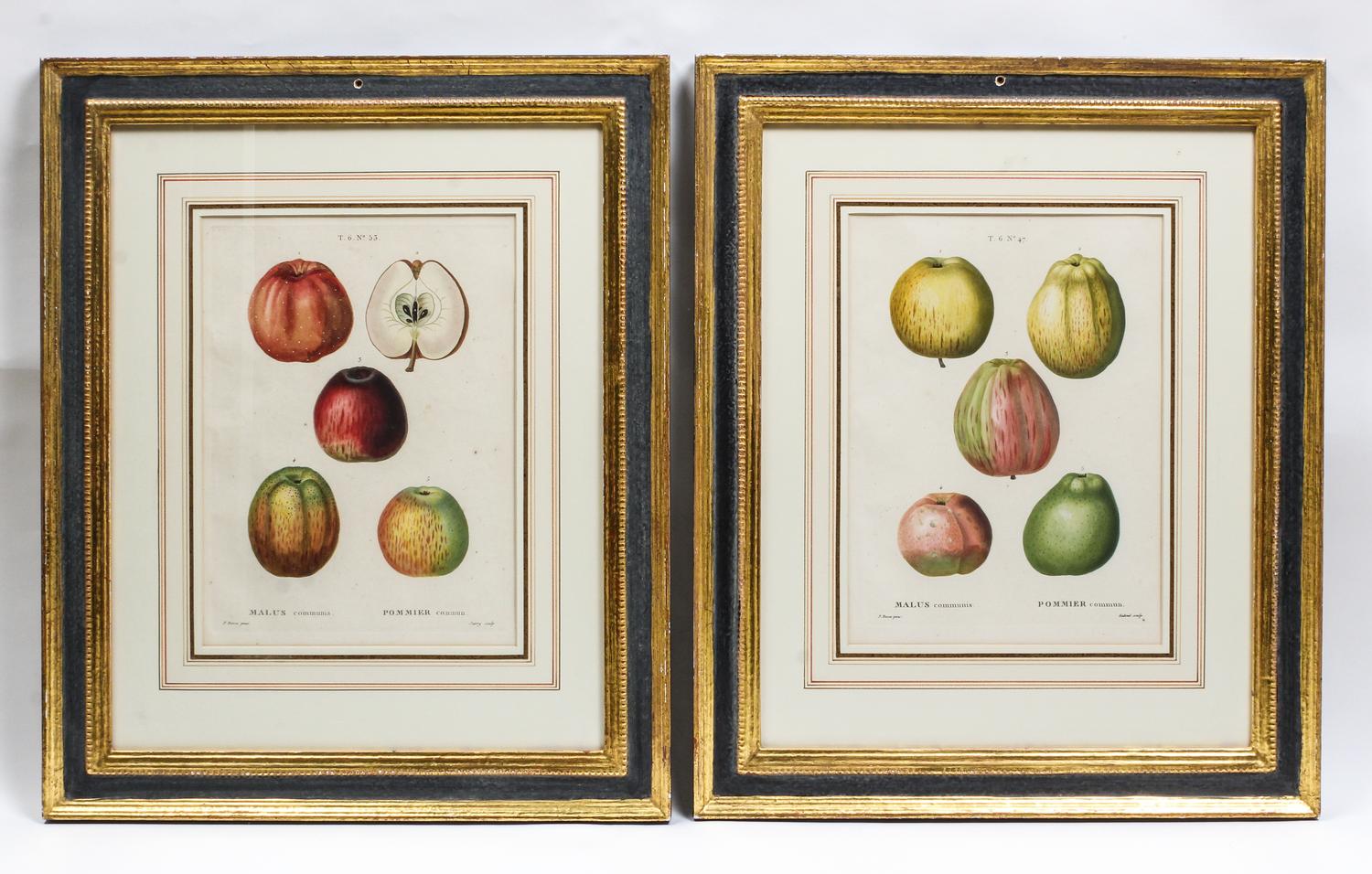 A Pair of French Hand-Colored Engravings Height 14 inches. — AFTER PANCRACE BESSA, 19TH CENTURY