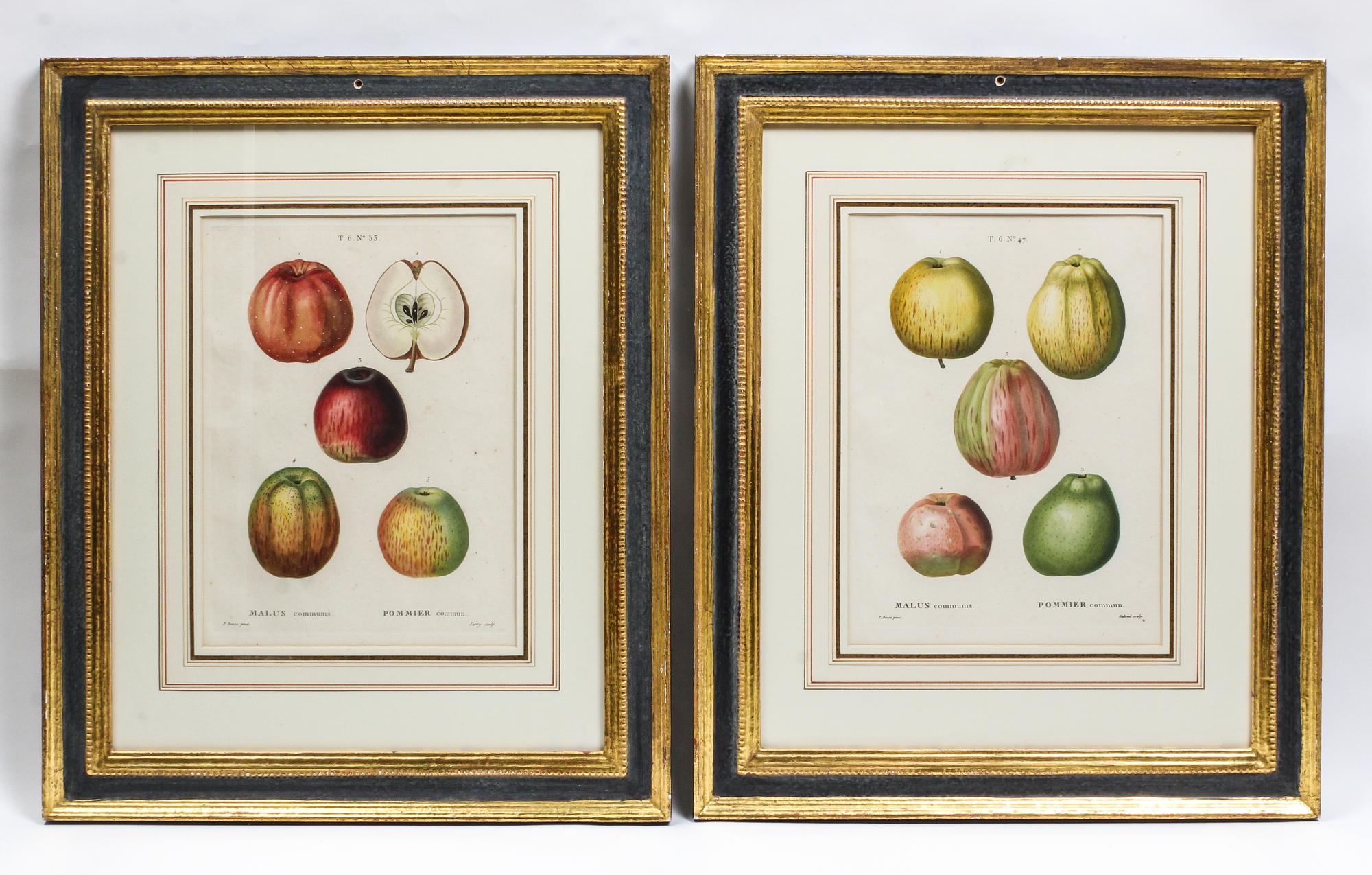 A Pair of French Hand-Colored Engravings Height 14 inches. — AFTER PANCRACE BESSA, 19TH CENTURY