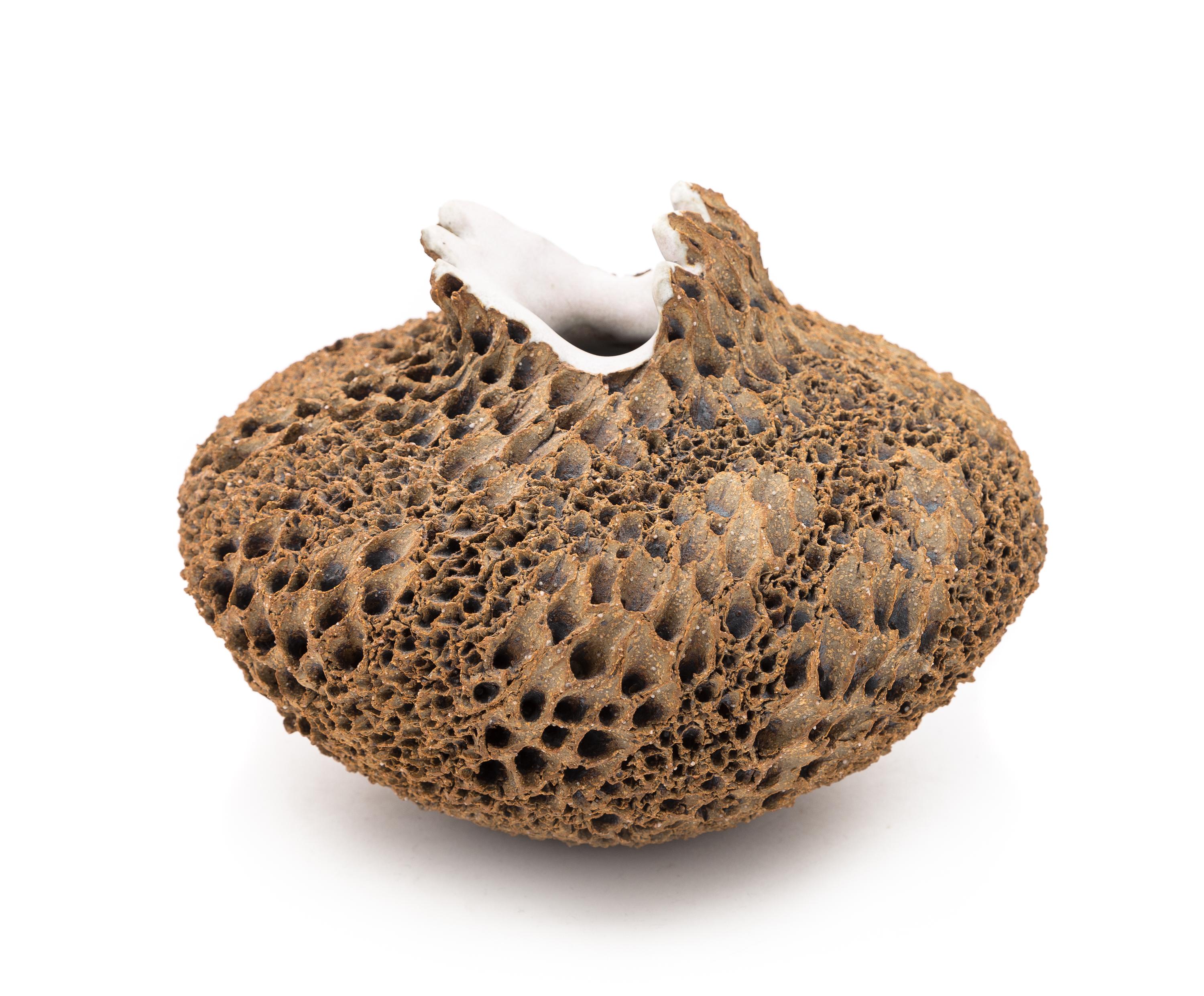 Anne Goldman, (American), vessel