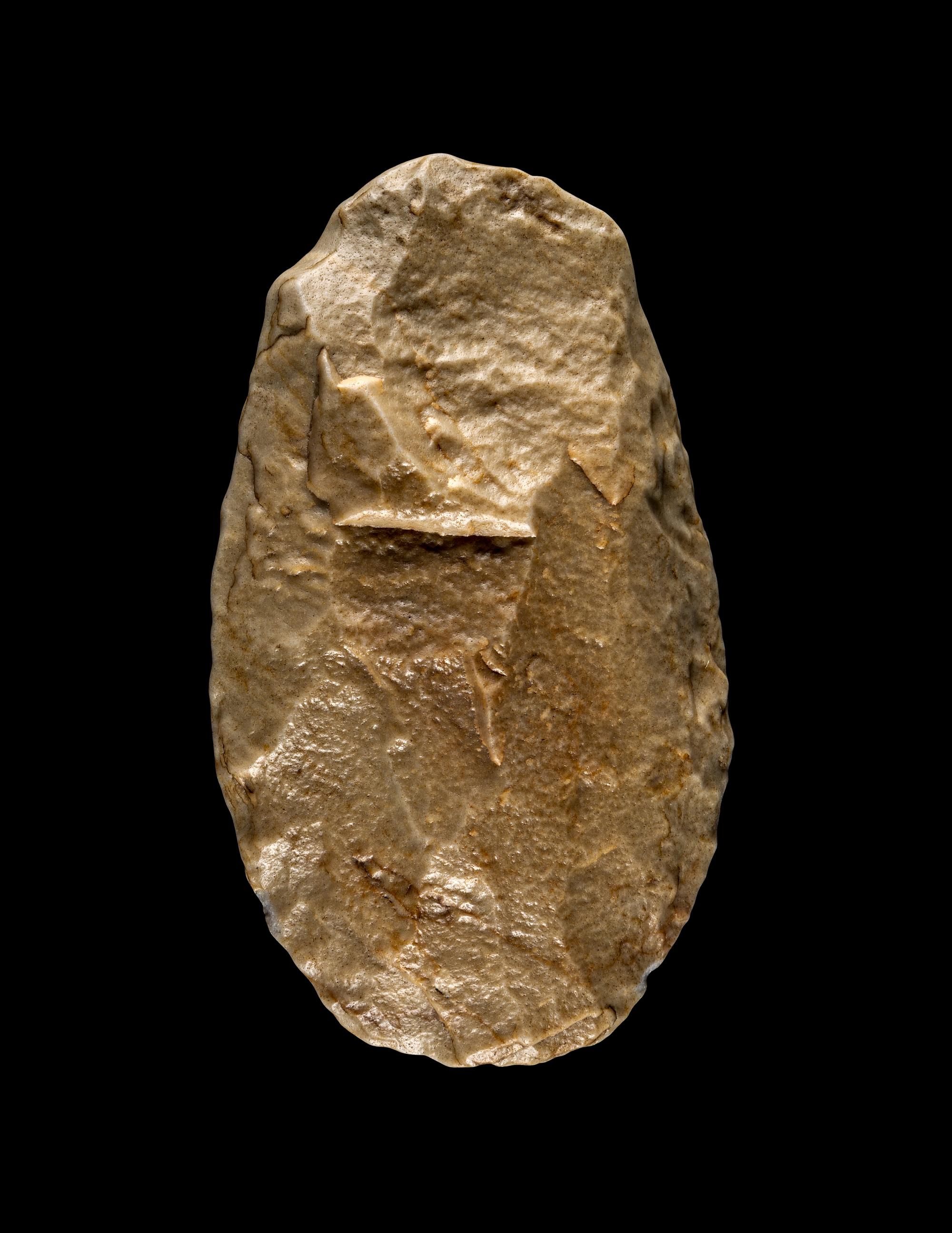 A Paleolithic Quartzite Hand Axe