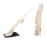 Walrus Ivory Sculptures