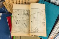[CHINESE NOVELS] a group of books about Classical Chinese Novels 綫裝明清文學、小説一組