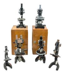 A Group of Five Black Lacquered Microscopes Height of tallest 13 inches. — VARIOUS MAKERS, 20TH CENTURY