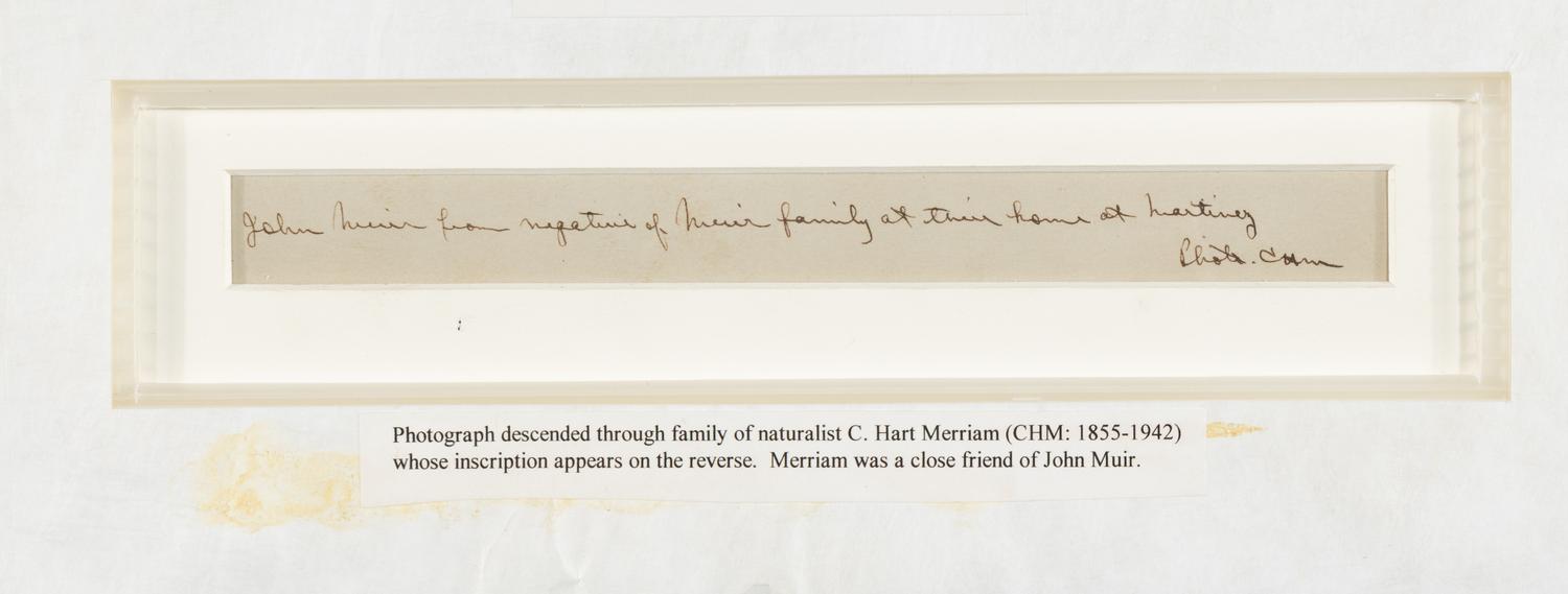 [Attributed to]: Merriam, Clinton Hart (1855-1942). Photograph of John Muir. Martinez, California, 1901.