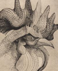 The Cock of Socrates
