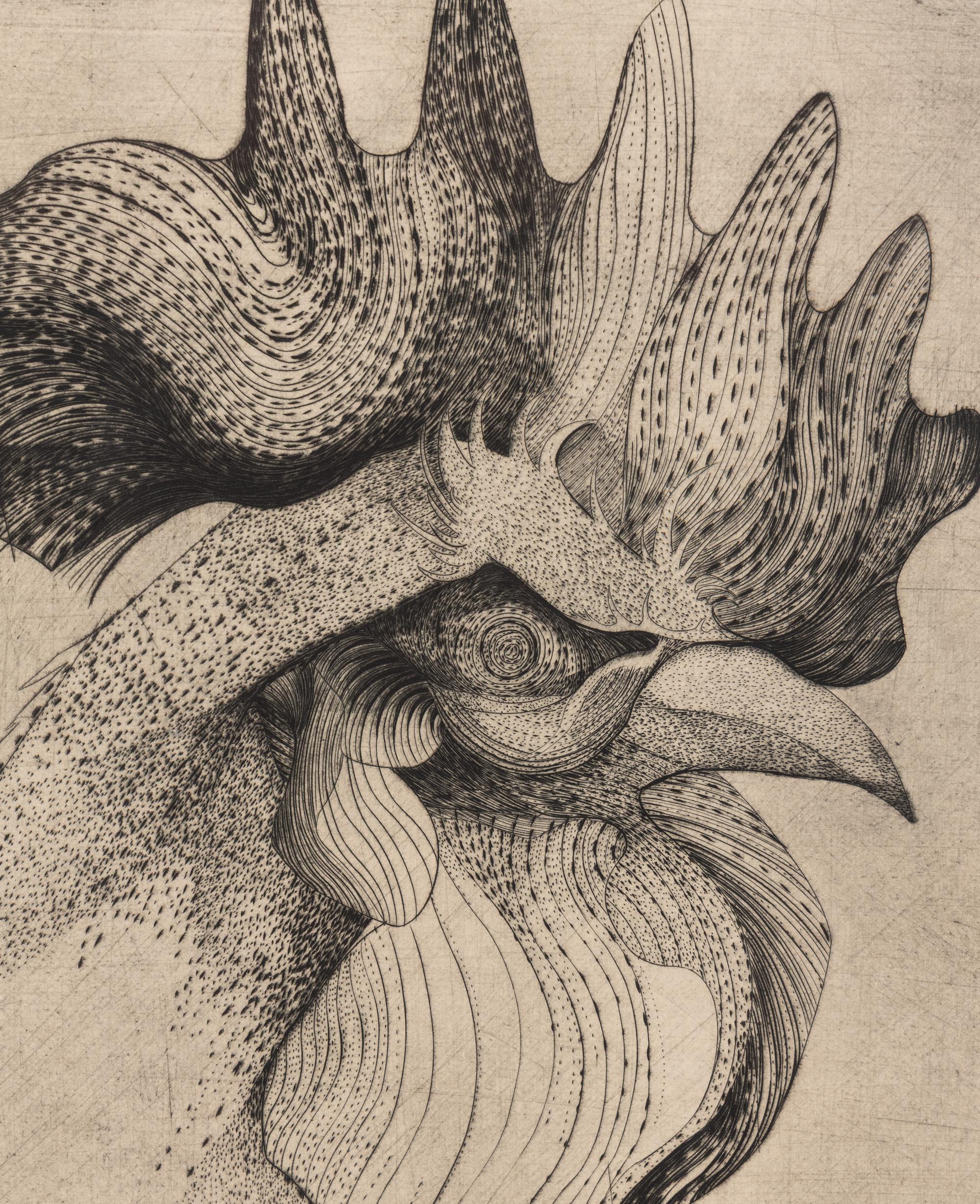 The Cock of Socrates
