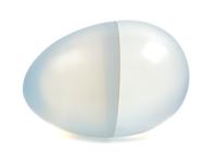 Vaclav Cigler, (Czech, b. 1929), Egg