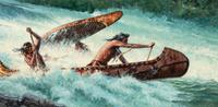 Wildwater Race