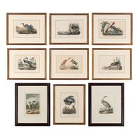 [Natural History] Audubon, John James. Group of 10 prints from the octavo "Birds of America"