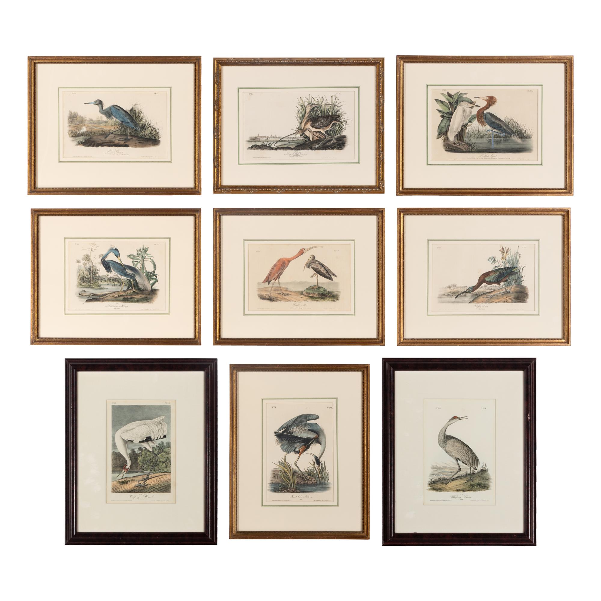 [Natural History] Audubon, John James. Group of 10 prints from the octavo "Birds of America"