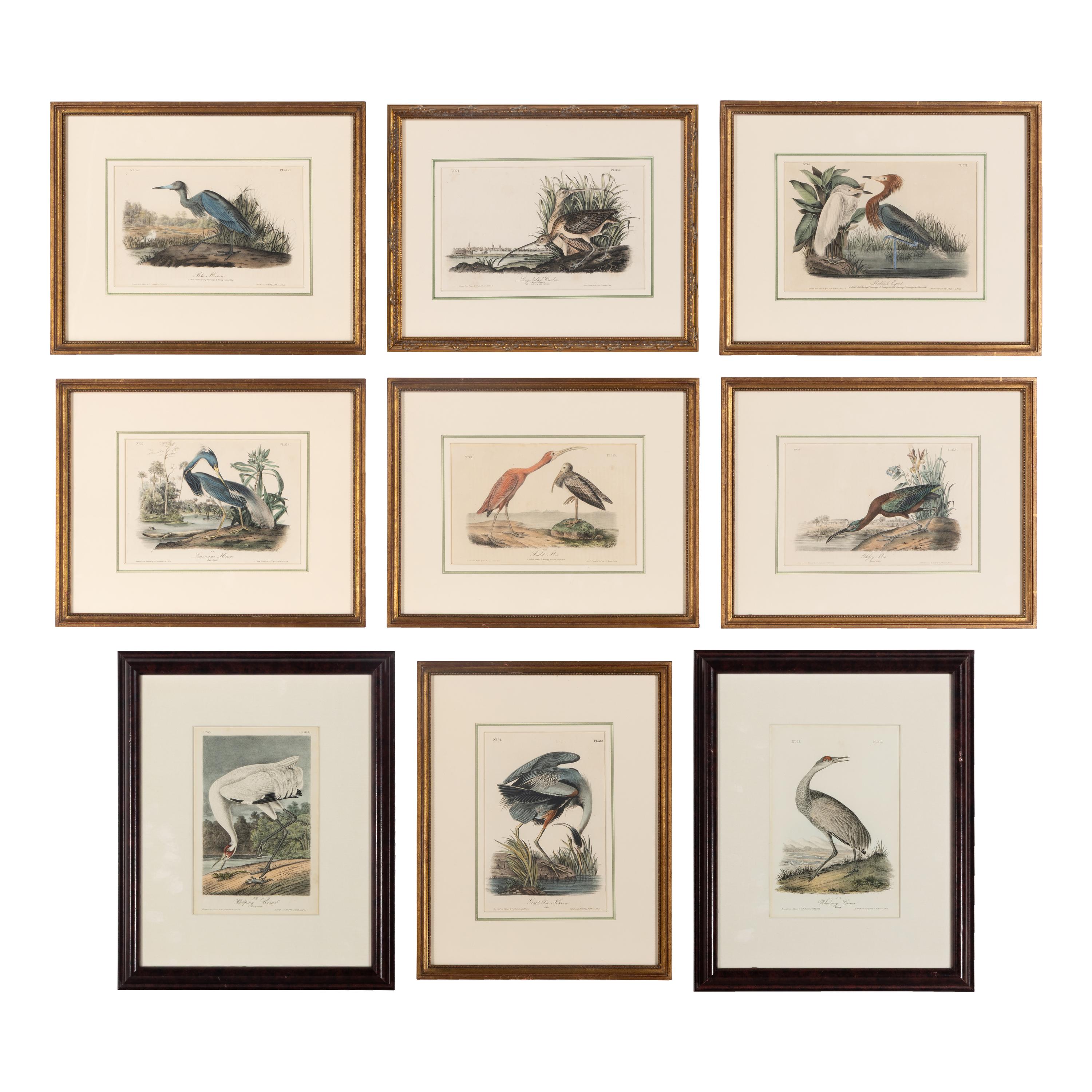 [Natural History] Audubon, John James. Group of 10 prints from the octavo "Birds of America"