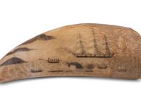 A Scrimshaw Tooth with Whaling Scene