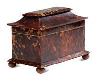 A Regency Tortoiseshell Tea Caddy