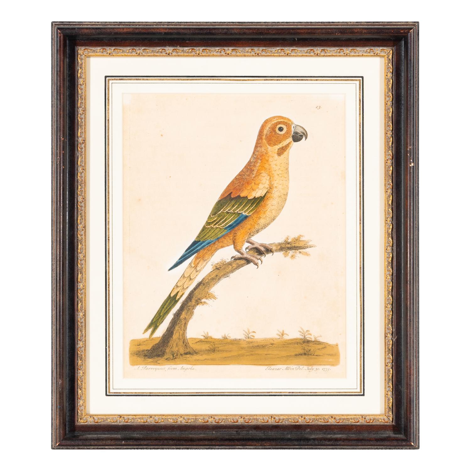 A Group of Nine Hand-Colored Engravings of Birds