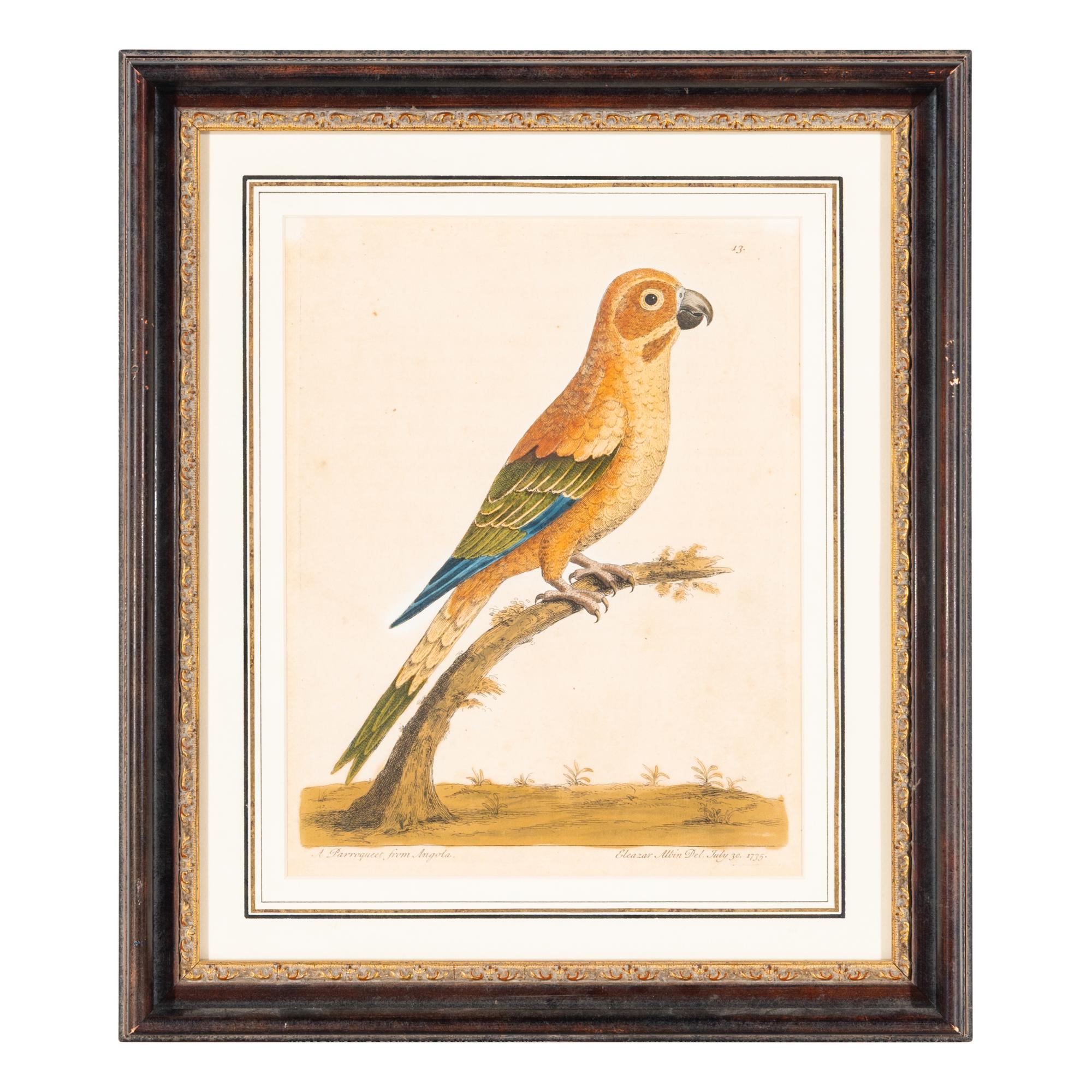 A Group of Nine Hand-Colored Engravings of Birds