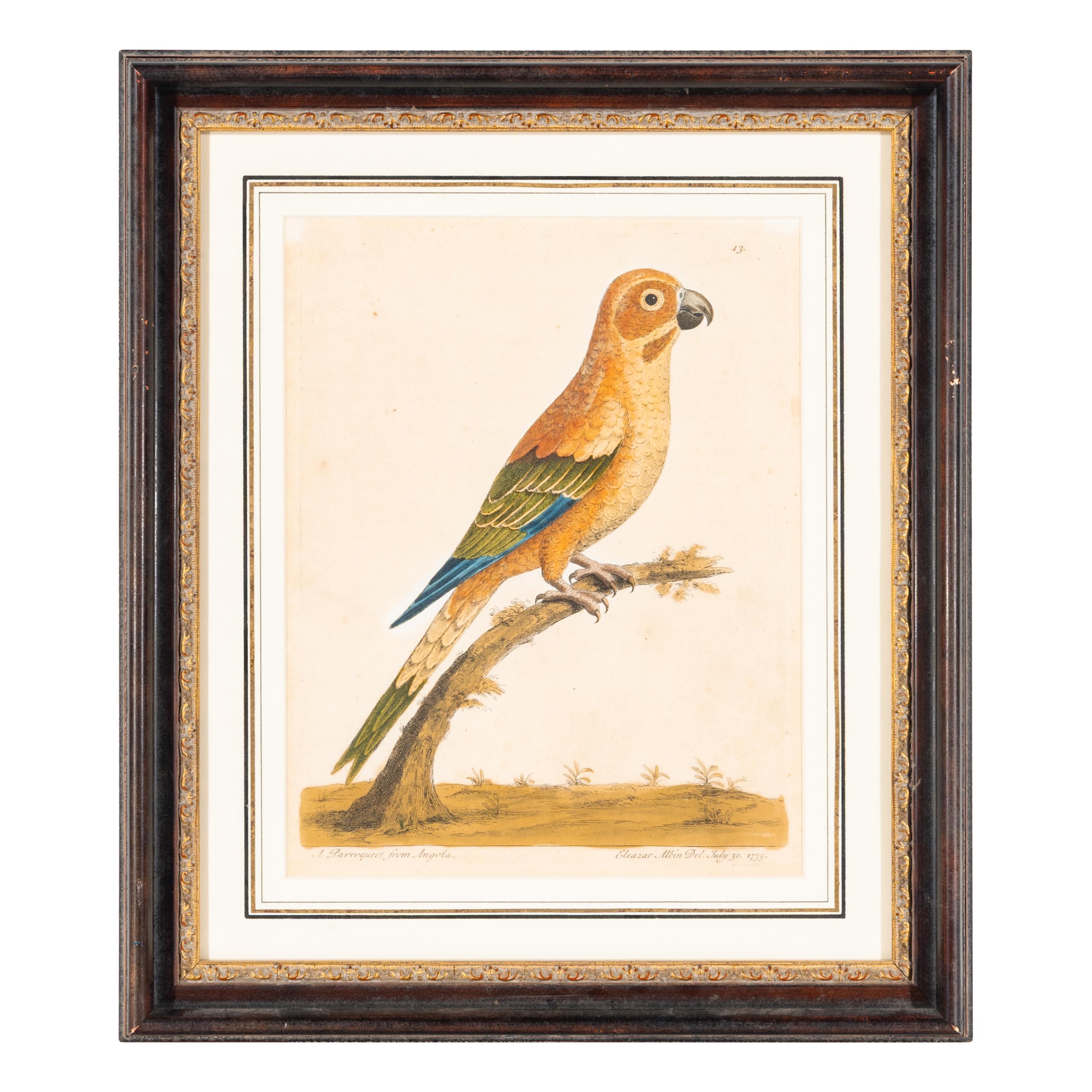 A Group of Nine Hand-Colored Engravings of Birds