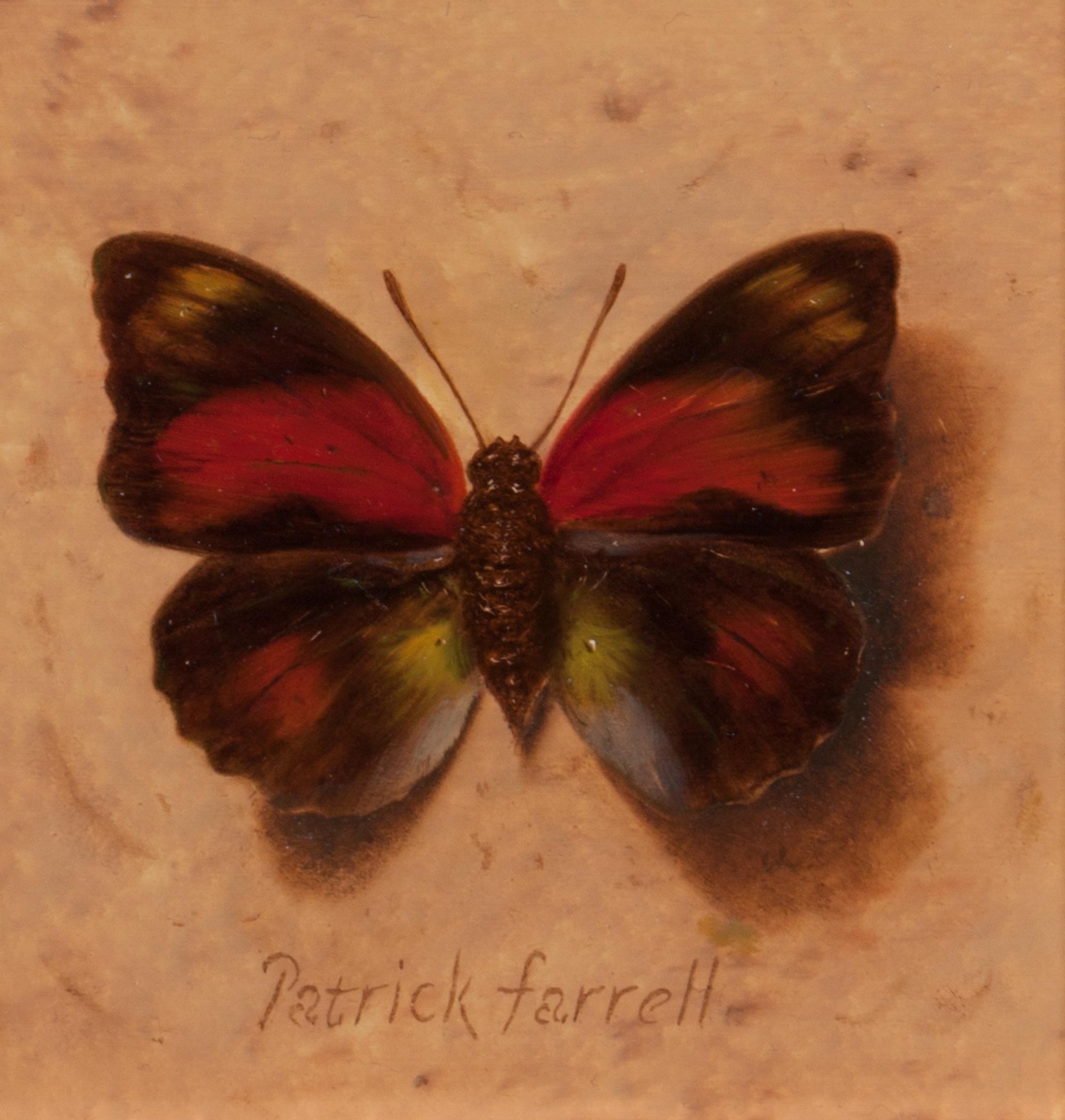 Patrick Farrell, (Wisconsin, 1945-2016), Nymphalidae/Claudina, 2004