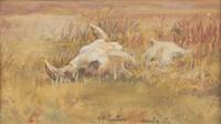 Alexander Phimister Proctor (American, 1862–1950) — Buffalo Skulls