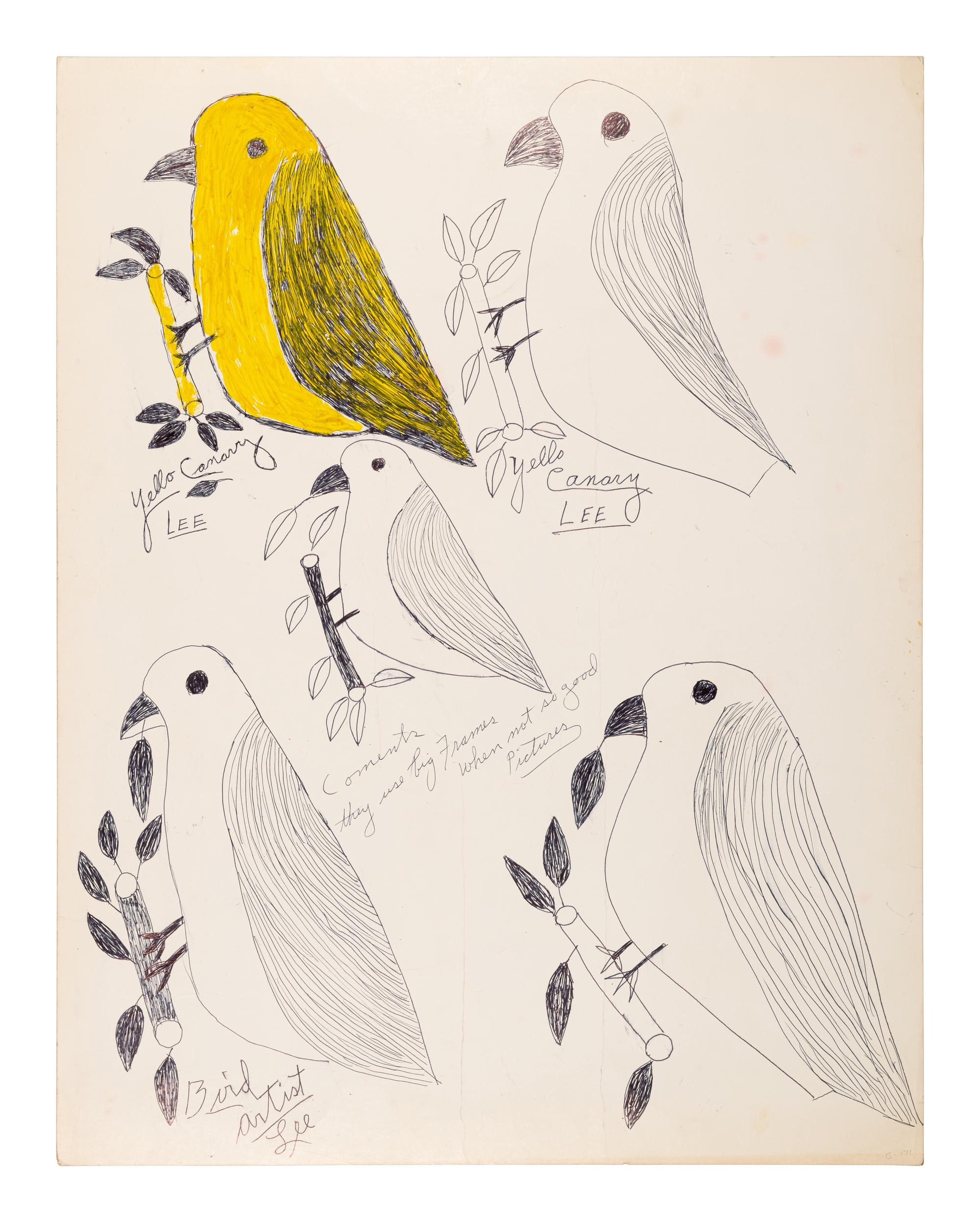 John John and Yellow Canary