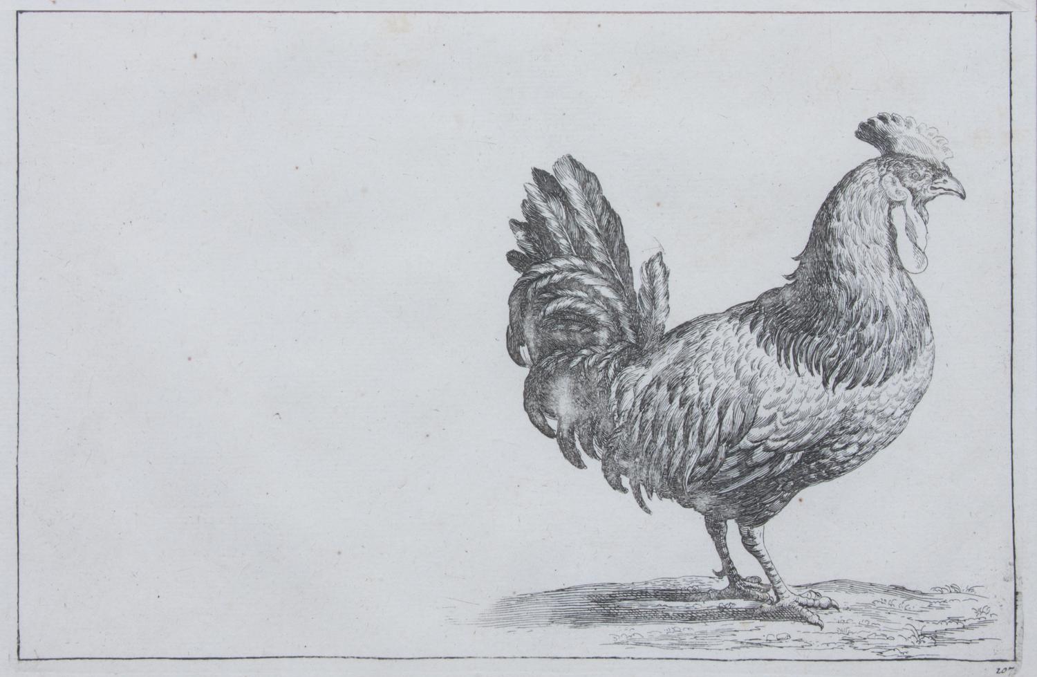 A Set of Two Lithographs of Fowl Each: 8 3/4 x 11 1/2 inches.