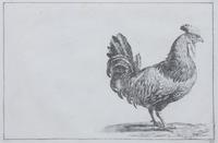 A Set of Two Lithographs of Fowl Each: 8 3/4 x 11 1/2 inches.