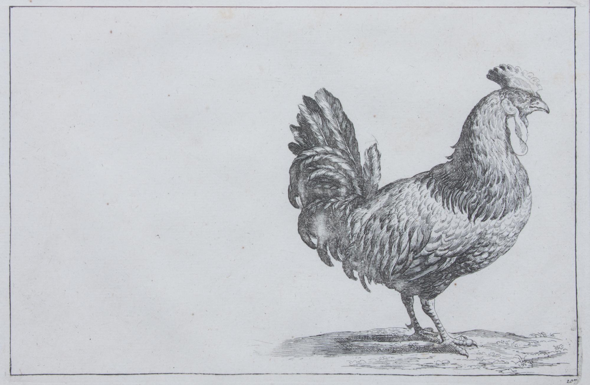 A Set of Two Lithographs of Fowl Each: 8 3/4 x 11 1/2 inches.