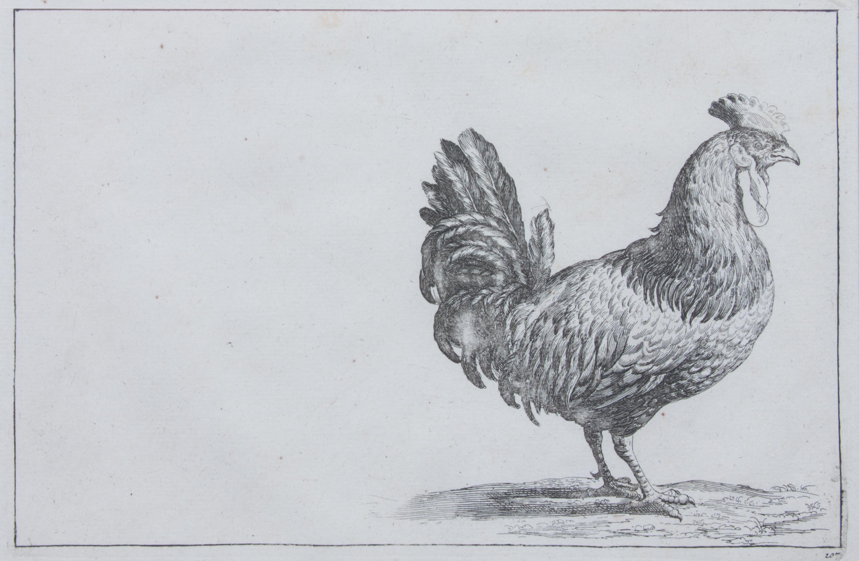 A Set of Two Lithographs of Fowl Each: 8 3/4 x 11 1/2 inches.