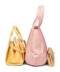 Nancy Gonzalez, Three Bags