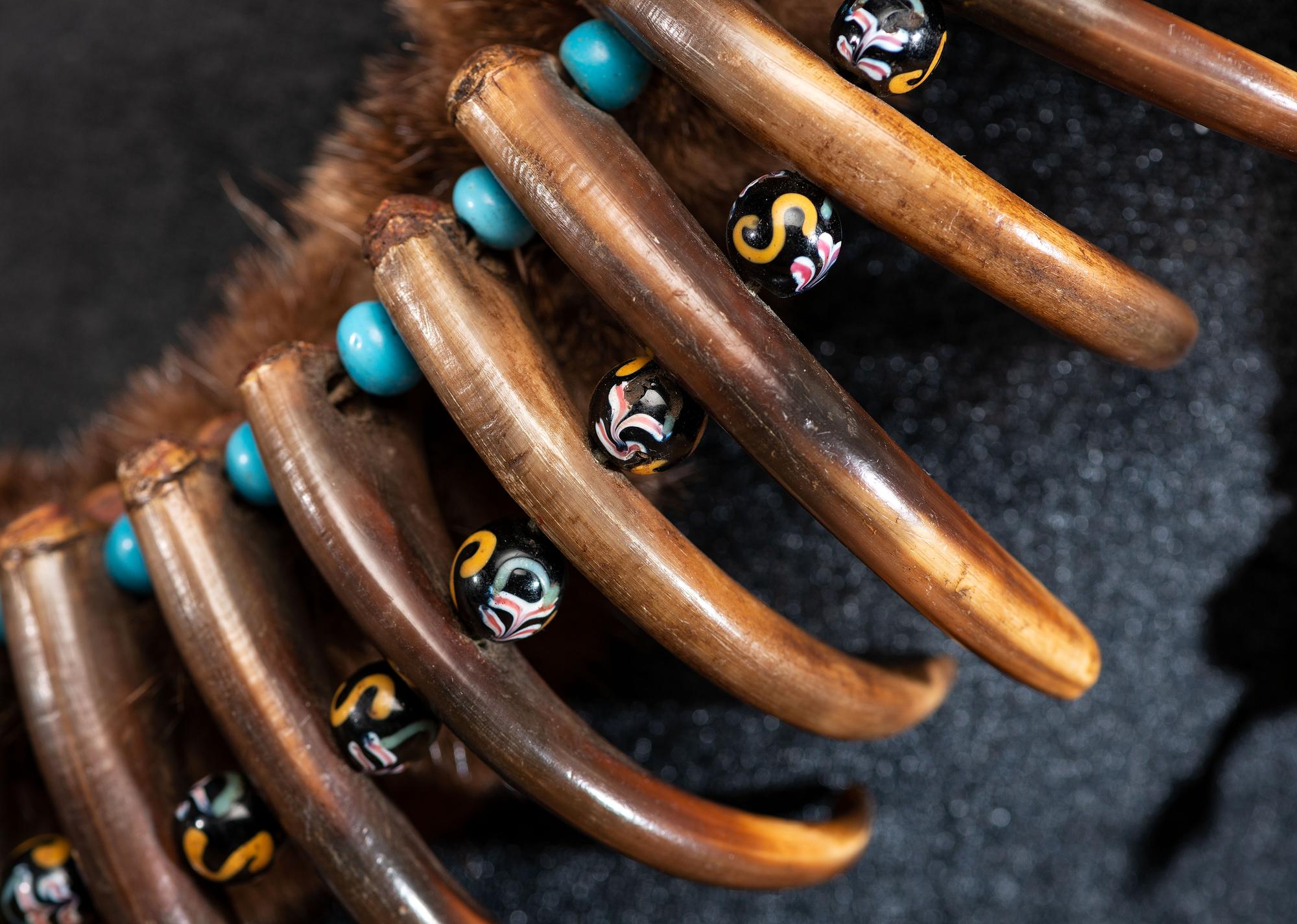 Prairie Grizzly Bear Claw Necklace