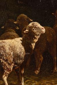 Sheep at a Manger