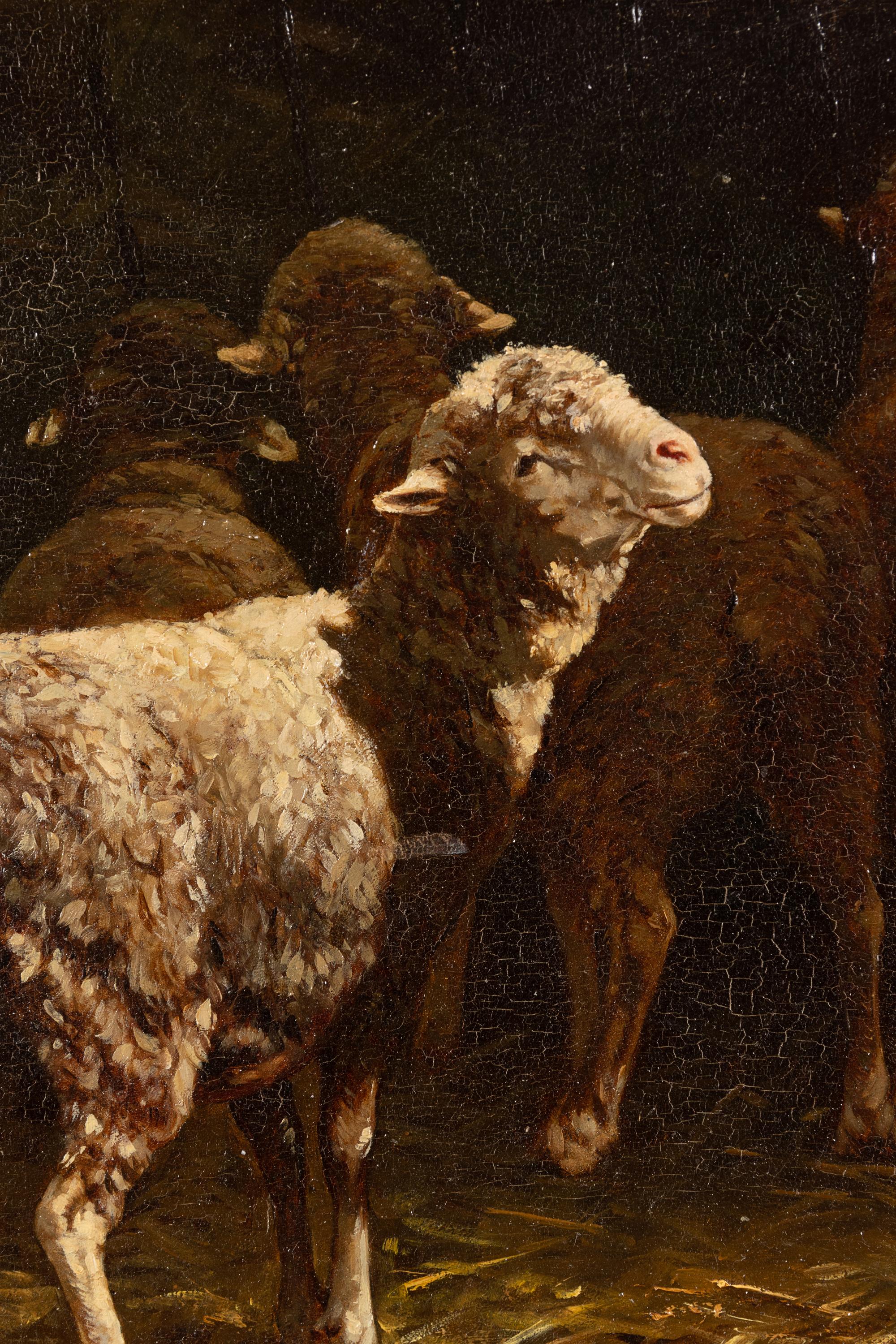 Sheep at a Manger