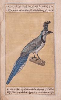 Seven Islamic Paintings
